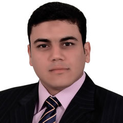 محمود صلاح أحمد محمد, Finance Director