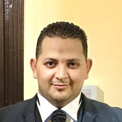 MOHAMED SALEH, Finance And Accounting Manager