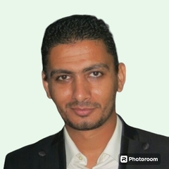 Mohamed Habib, project construction engineer