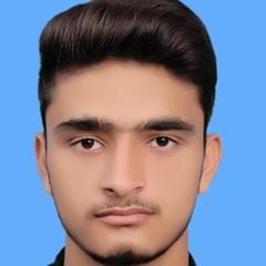 Shameer UL Hassan