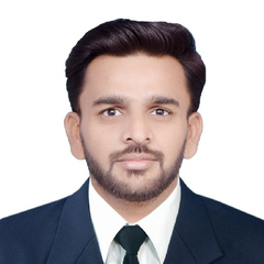 Muhammad Mubashir  Mumtaz 