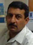 Ali Husain, Programmer