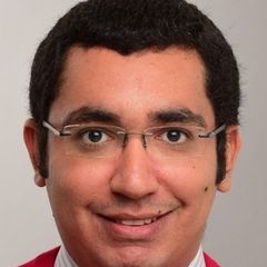 Magued Adel, Senior Proposal Engineer