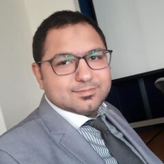 محمود الصغير, Senior ERP Financial Application Consultant