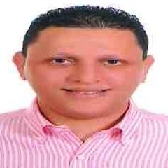 Sherif Hani, Assistant Financial Controller