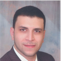 wael Raslan, Project Manager