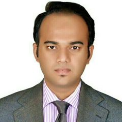 Faisal Majeed - Chartered Accountant, Regional Project Financial Controller