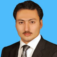 جاويد Badshah, Business Development Executive