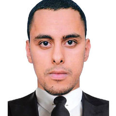 Mohamed El Amine Boudraa, عون ادخال المعلومات