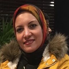 هبة الله حمدي محمد, Assitant Professor