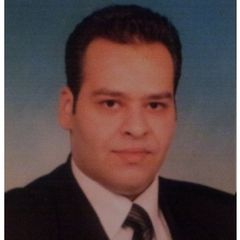 Mohammed Aly Mohammed Elsayed, Senior Accountant