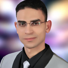 محمد شوقي رجب عبد العزيز عامر ال عامر, maintenance engineer