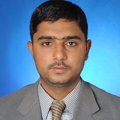 Waseem Hussain, Professional Accountant