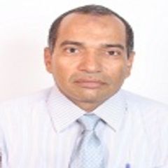 Mahmoud Bakr, Electrical /  Instrumentation section head
