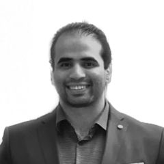 Walid Alaa Eldin Arafa  Hassan , Sales Manager