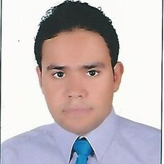 أحمد عزت  محمد عثمان, Senior Structure Engineer 