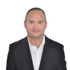 Ahmed Megally, Senior Structural Engineer