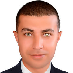 Hossam Fawzy, engineer