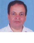 amr emara, Head of Information Systems Sector