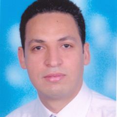 Hany Ramadan, Information Security officer