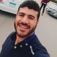 Mohamed Adel Saleh Gouda Saleh