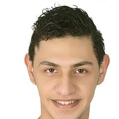 Ahmed Salah Mohamed, Customer Service Agent