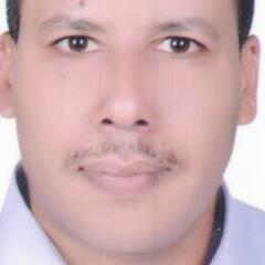 Walid Mohamed Ahmed Hussein Hussein