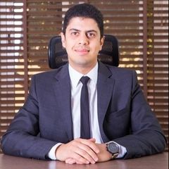 Ahmed Abdelfattah, Financial Controller