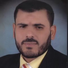 hany hamed mohamed esmail, نائب مدير المبيعات