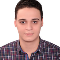 Ahmed Elseify, مهندس تنفيذ  ومكتب فني