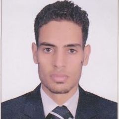 Mahmoud  Abou Elmakarm Abdelmageed, البنوك