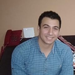 Ahmed Algohary, Accountant