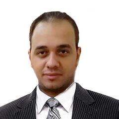 Karim Elgendy, مدير المبيعات الخارجية 