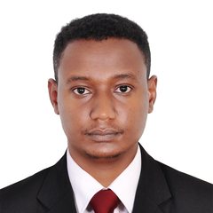 Mohammed Ali ELFDL, telecommunications installer