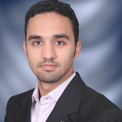 Mohamed  Soliman, Procurement Section Head