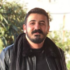 Abbas Faour, Full Stack Developer Intern