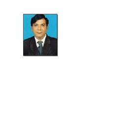 Ammar Jaffery, Business Consultant