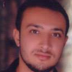 وليد محمد, Software Developer