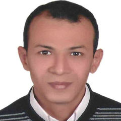 هشام صابر ابراهيم محمد العنيين, مبرمج ومدخل بيانات سكريتر رئيس قطاع المصانع