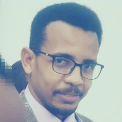 أنس عبد الرحيم, Sales Engineer