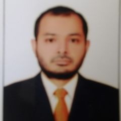 محمد امتياز, Lead ERP Analyst