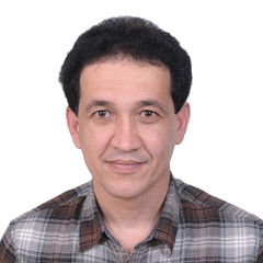 Syed Tayyeb Hussain, Director (Company Set Up)