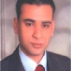 Mohamed Ashour, Accounting Manager