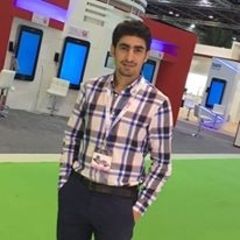 Muhammed Essa, Software Developer