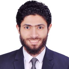 abdallah shawky, Banking Business Operations Support