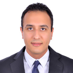 Mamdouh Hassanein, Operations manager - Import