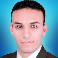 Mahmoud Elsayed  Mohamed