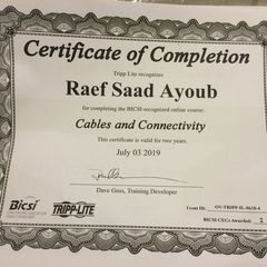 Raef Saad, Electrical engineer