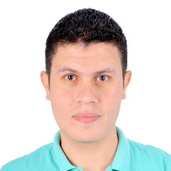 محمود قنديل, Senior Full Stack .NET Developer