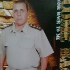 Nasser Abdelghafar Naser, كبير معلمى